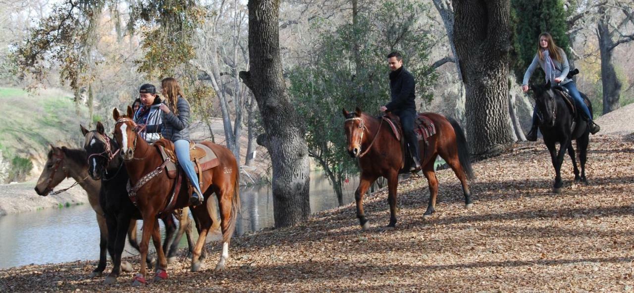 Вилла Z Ranch Темплтон Экстерьер фото